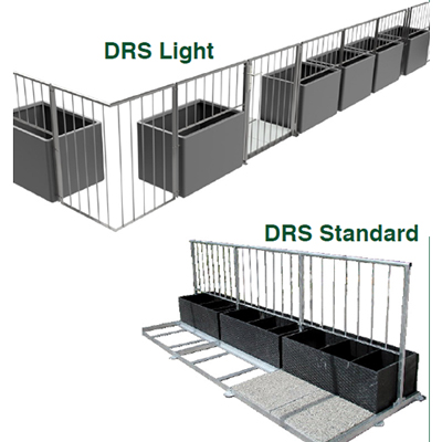 drs light standard
