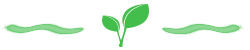 leaf icon