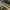 pp project thumb